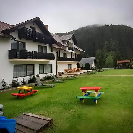 Vila Larisa Daire Moeciu De Sus Dış mekan fotoğraf